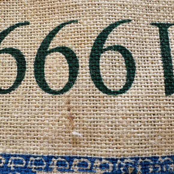 Vintage 1999 Masters Augusta Golf Souvenir Tote Bag NWT - Picture 9 of 9